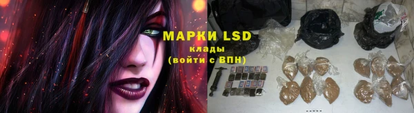 ECSTASY Горняк