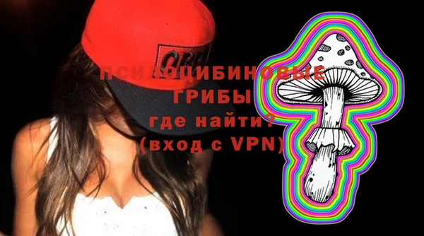 мяу мяу мука Беслан