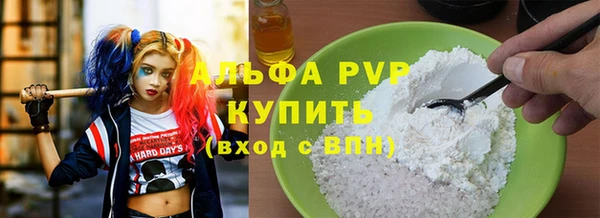 ECSTASY Горняк